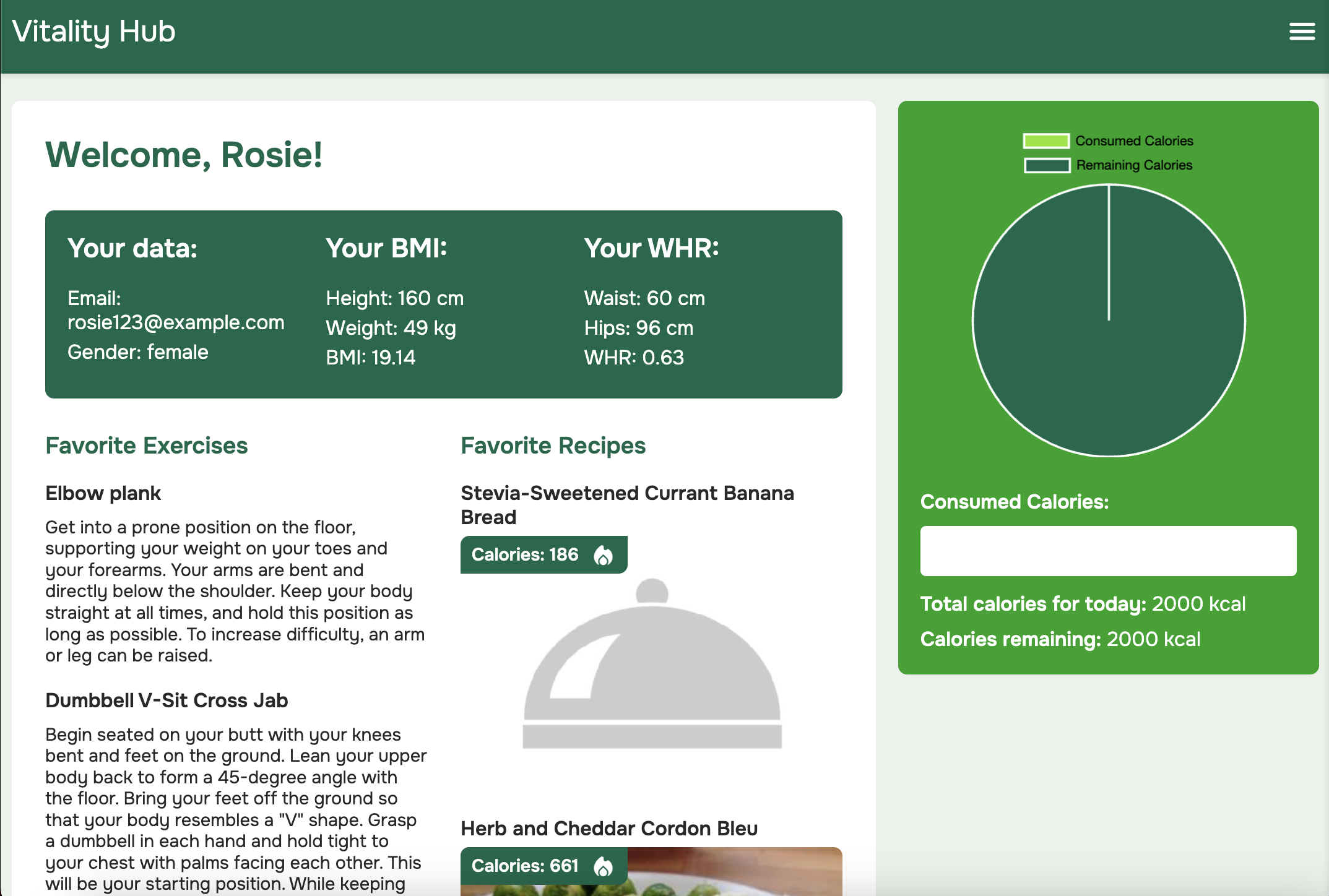 Screenshot of Vitality Hub